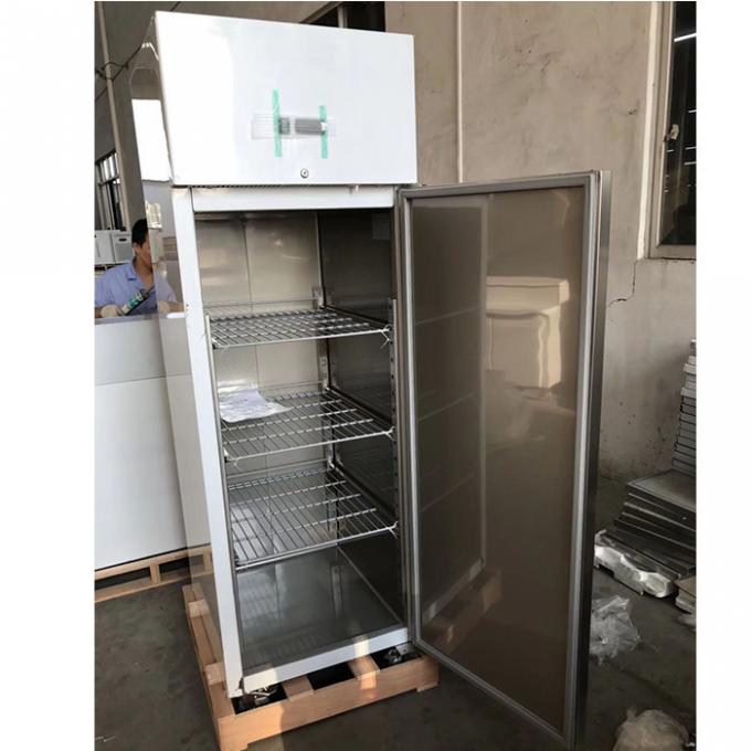 セリウム250Wの商業ステンレス鋼の冷蔵庫の冷凍庫 1