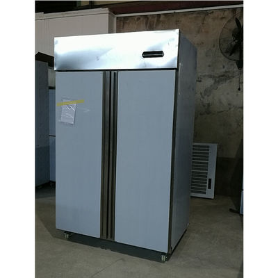 Yxfridgeの両開きドアのステンレス鋼の商業フリーザー